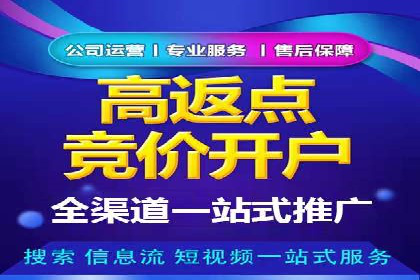 成功托管SEM竞价，实现品牌快速曝光